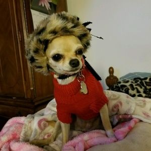 Meet your Posher, Annette